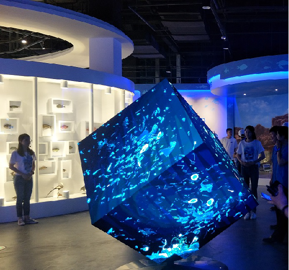 山東日照海洋館P3(圖2)